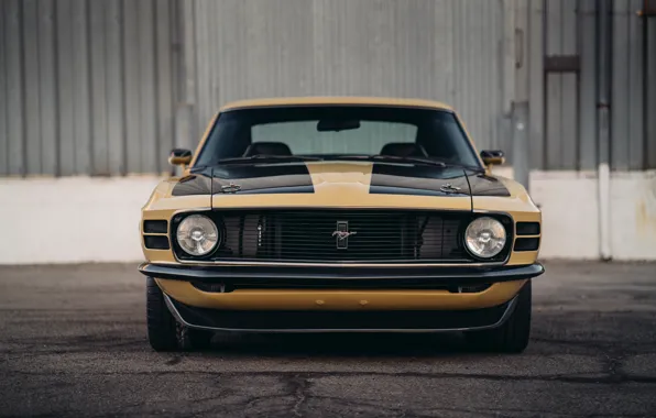 Mustang, Ford, Boss 302, front view, 1970, SpeedKore, RDJ