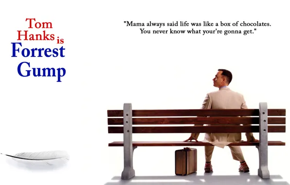 Picture movie, bench, Tom Hanks, feather, luggage, Forrest Gump, suitcase