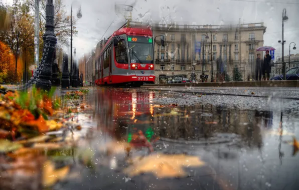 Autumn, leaves, the city, rain, street, the building, Peter, Saint Petersburg
