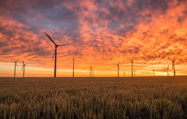 Field, the sky, clouds, landscape, sunset, horizon, glow, sky