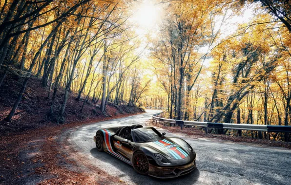 Porsche, Spyder, 918, Autumn, Martini, VAG