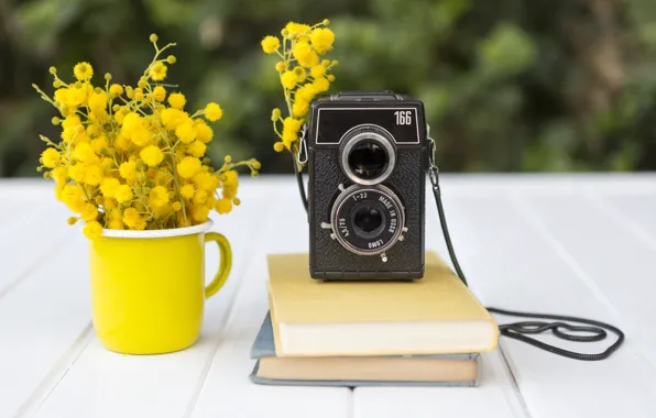 Picture flowers, books, bouquet, yellow, books, composition, retro camera