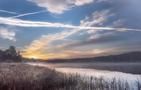 Picture the sky, clouds, fog, lake, shore, morning, pond