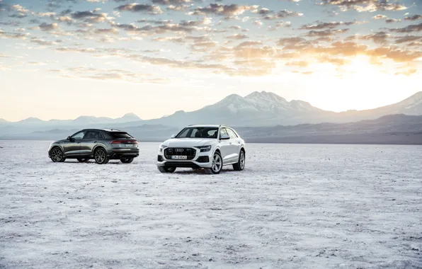 Pair, Quattro, 2018, crossover, S-Line, 55 TFSI, Audi Q8