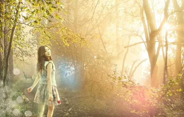 Forest, girl, flowers, smile, roses, web, deer, Asian