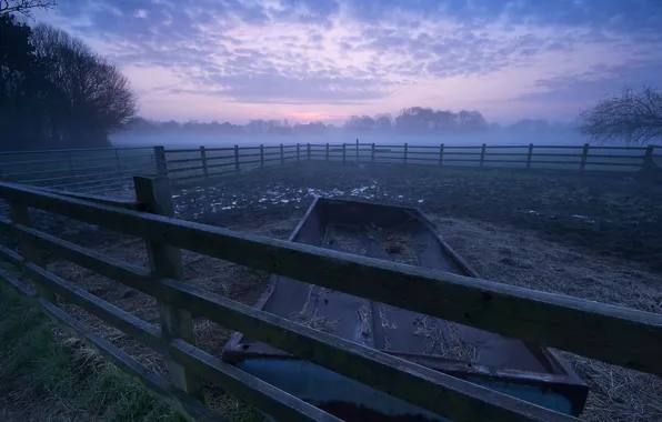 The sky, nature, the fence, hay