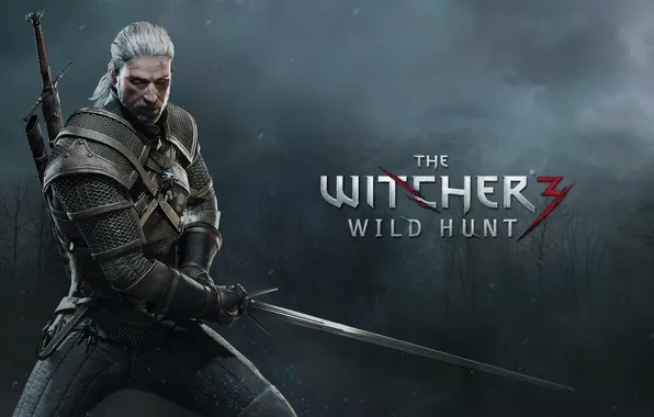 Picture game, Wallpaper, sword, the Witcher, games, witcher, Geralt, geralt