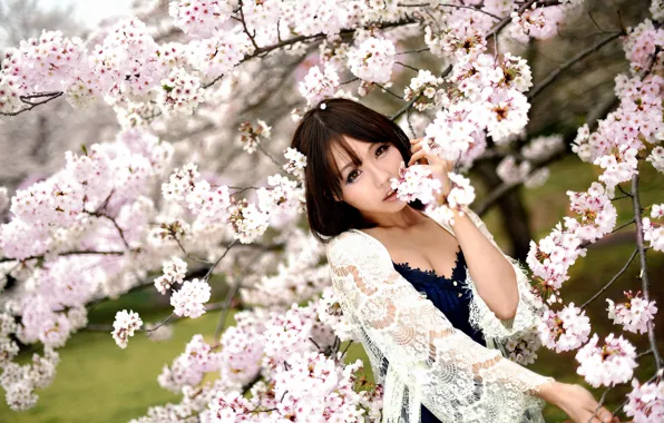 Look, girl, Sakura, East