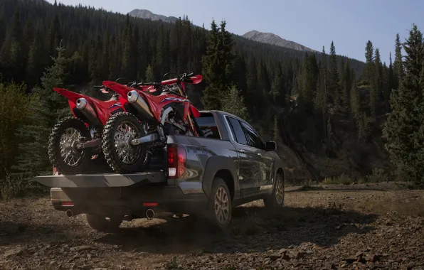 Picture motorcycles, Honda, body, rear view, pickup, 2020, Ridgeline, 2021