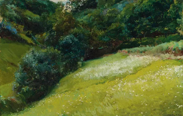 Picture landscape, picture, Joaquin Sorolla, Field in Asturias, Joaquin Sorolla and Bastida