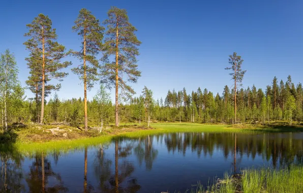 Picture the sky, trees, lake
