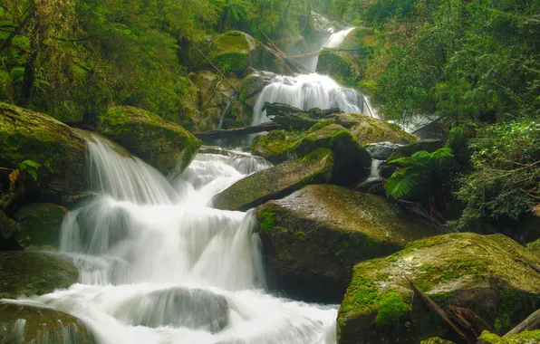Forest, nature, stones, waterfall