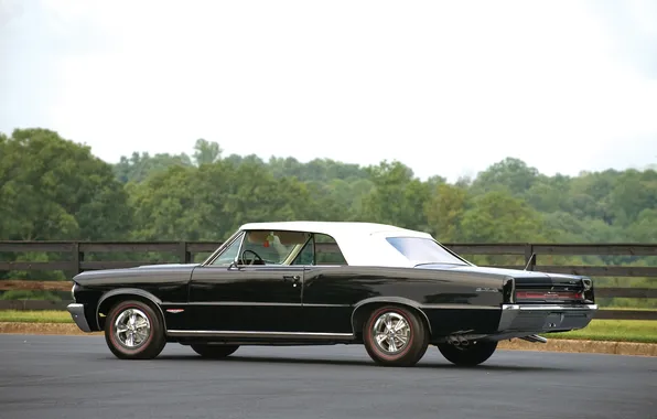 Convertible, Pontiac, GTO, Pontiac, 1964, retro cars, Convertible, LeMans