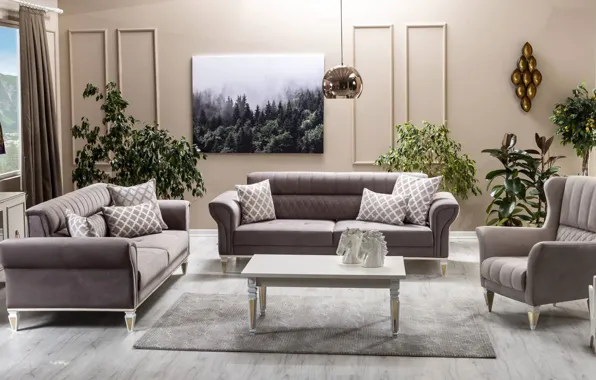 Design, style, room, interior, plants, picture, living room, upholstered furniture