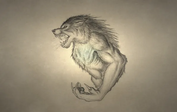 Wolf, werewolf, growls, wolf, werewolf