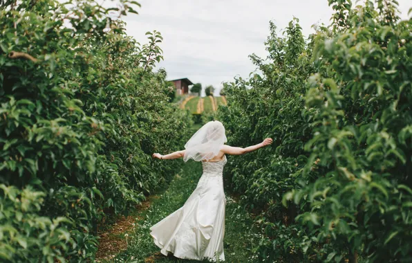 Joy, the bride, alley, wedding, Apple Trees