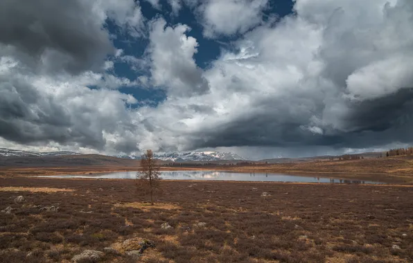 Clouds, lake, The Altai Mountains, beautiful landscape, Denis Koshkin