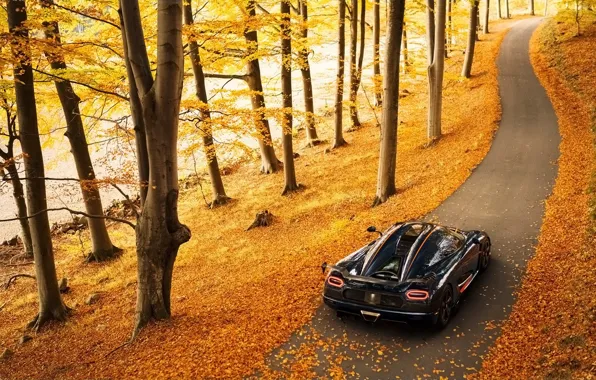 Autumn, background, Koenigsegg, supercar, rear view, Agera, hypercar, Agera