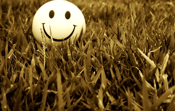 Picture grass, smile, mood, smile, smile