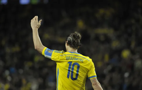 Football, Sweden, Football, Player, Player, PSG, PSG, Paris Saint-Germain