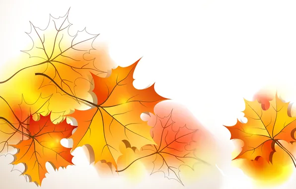 Autumn, leaves, collage, maple, postcard