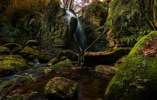 Trees, rock, stones, waterfall, moss, Spain, Catalonia, The Sallent