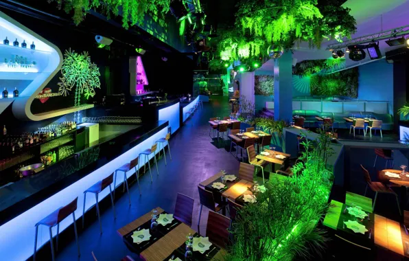 Picture design, style, interior, bar, restaurant