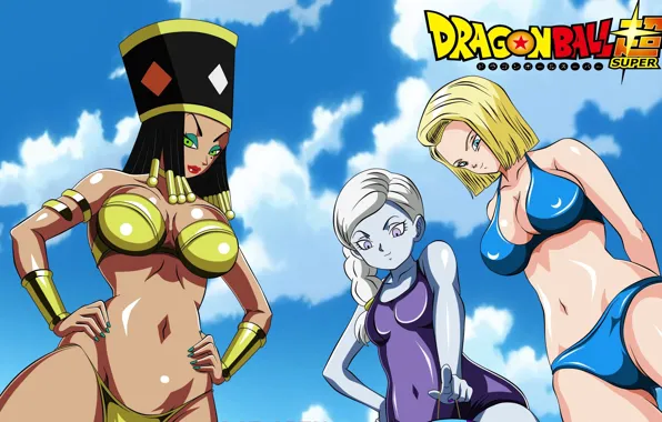 DBS, game, boobs, big, breast, anime, tits, big boobs