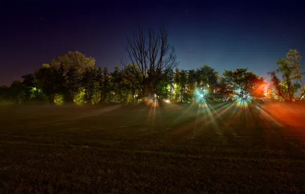 Field, rays, light, trees, night, lights, photo, landscapes