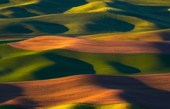 Light, nature, hills, shadow