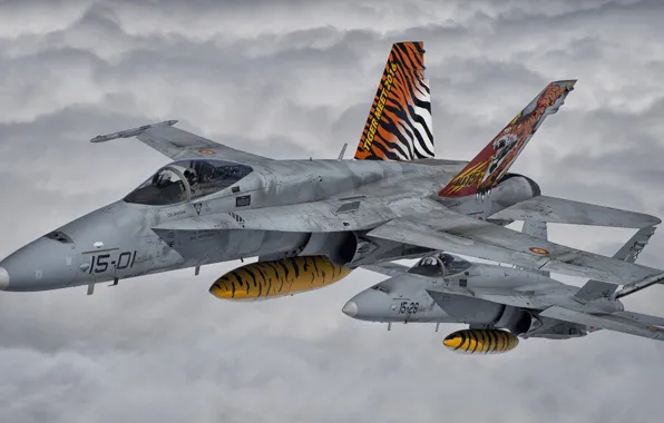 Fighter, Pilot, Obloka, F/A-18 Hornet, Cockpit, The air force of Spain, PTB