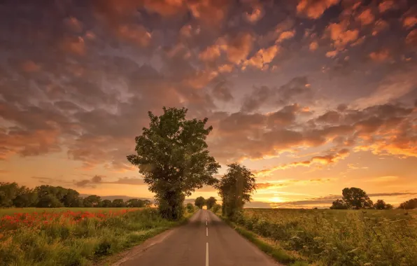 Picture road, summer, sunset