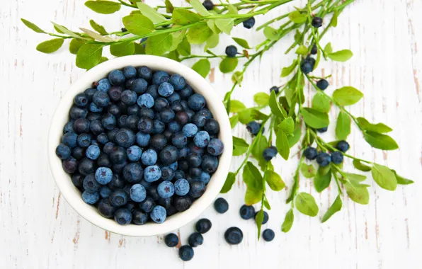 Summer, table, bowl, blueberries, Olena Rudo