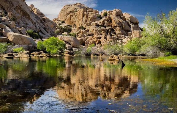 Nature, lake, stones, rocks, CA, USA, National Park, Joshua Tree National Park