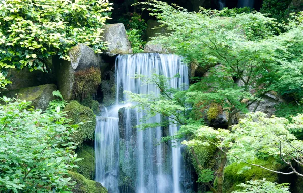 Forest, leaves, trees, landscape, rock, river, stones, waterfall