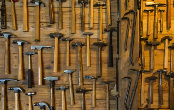 Hammer, instrumento, workshop, the dog