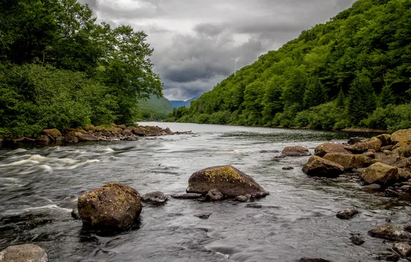 Picture the sky, trees, clouds, river, stones