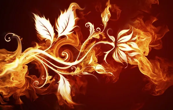 Flower, fire, petals
