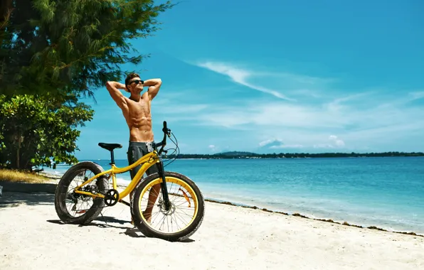 Sand, sea, beach, the sun, trees, bike, pose, coast