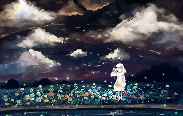 Picture the sky, clouds, flowers, night, fireflies, anime, art, girl