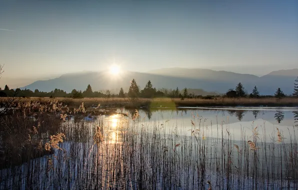 The sun, lake, CMIS