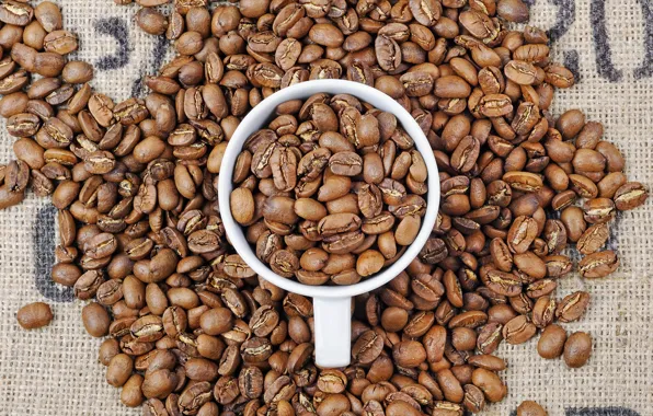 Picture coffee, grain, Cup, the view from the top