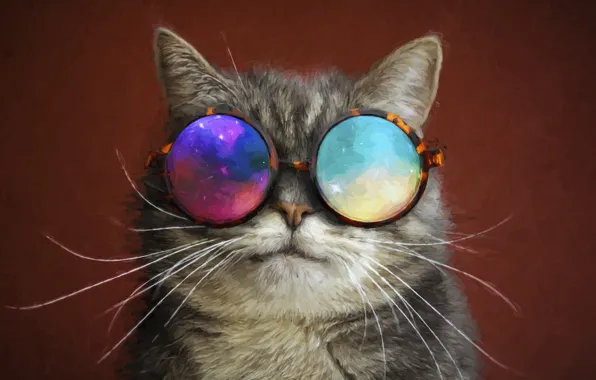 Picture cat, mustache, glasses