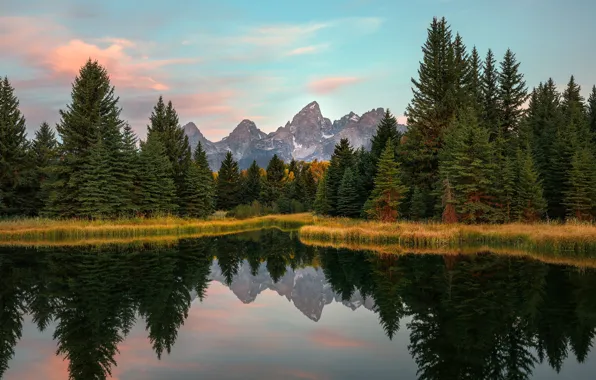 Picture forest, mountains, lake, reflection, pond