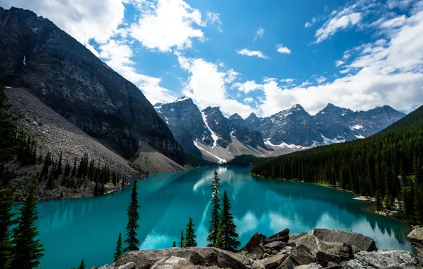 Picture forest, the sky, clouds, mountains, nature, stones, spruce, slope