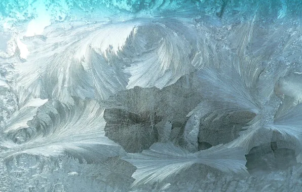 Picture cold, winter, glass, pattern, texture, frost