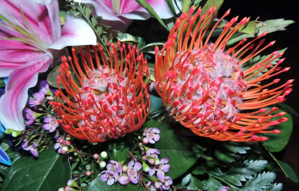 Picture leaves, flowers, nature, exotic