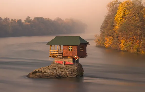 Autumn, forest, trees, landscape, nature, fog, lake, house