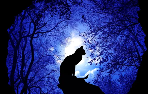 Picture forest, night, cat, illustration, rendeting