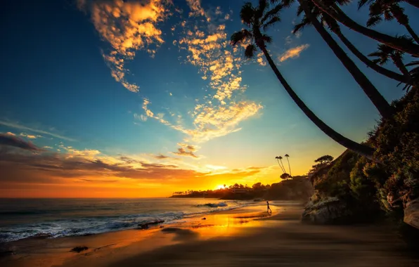 Picture beach, sunset, tropics, palm trees, people